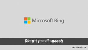 बिंग सर्च इंजन क्या है? बिंग सर्च इंजन पर संक्षिप्त टिप्पणी